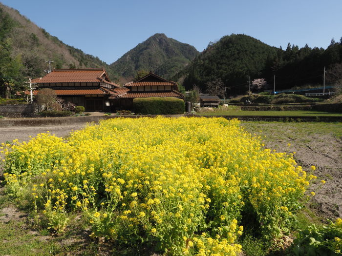 湯来町菅沢の黒谷_c0116915_00165325.jpg