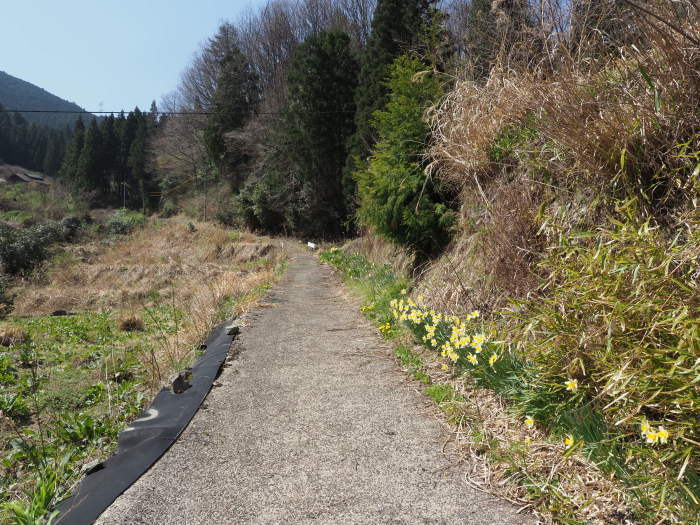 湯来町菅沢の黒谷_c0116915_00320221.jpg