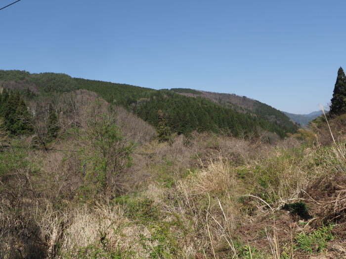 湯来町菅沢の黒谷_c0116915_00352614.jpg