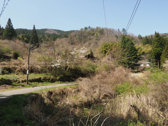 湯来町菅沢の黒谷_c0116915_00362468.jpg