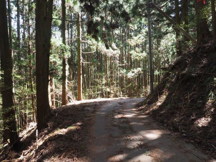 湯来町菅沢の黒谷_c0116915_00373221.jpg