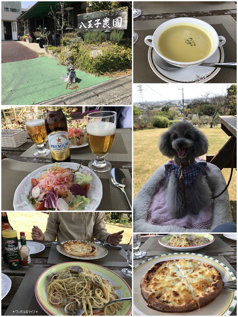 * 春は短いね、今日は真夏日!! *_d0317115_20331901.jpg