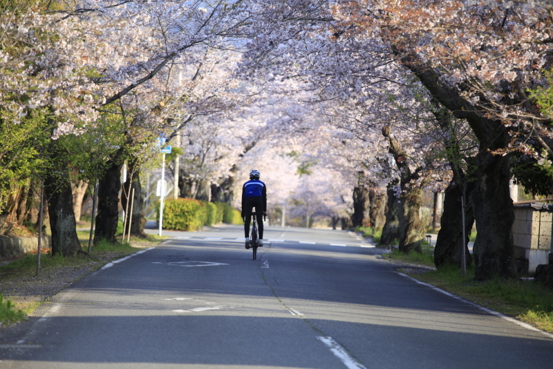 桜舞う!(長瀞編)_f0220915_17080409.jpg