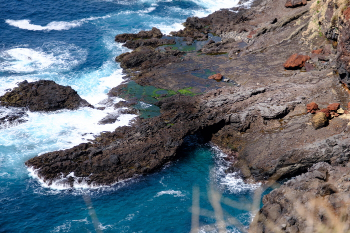 「隠岐2022  知夫里島  うみのカルデラ巡り」_a0000029_19153570.jpg