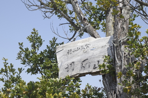 4月登山・鳶が巣山～王城山～切石山②_a0345833_17590587.jpg