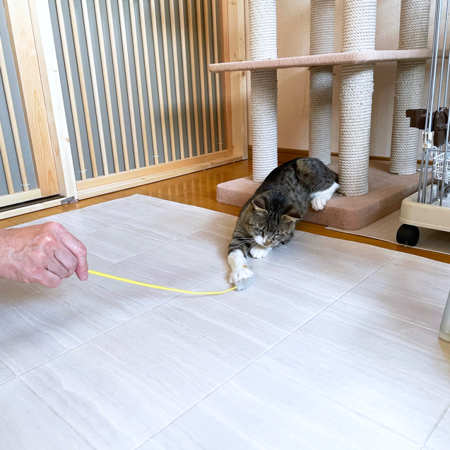 ゆきおちゃんのお見合い!_d0355333_21072140.jpg