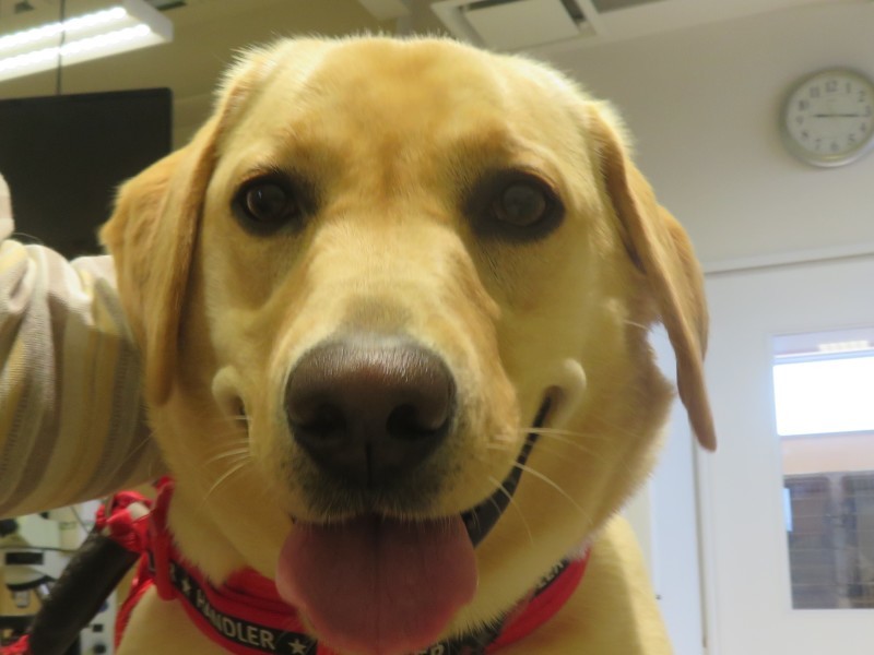4月 10日の写真_c0174644_09554930.jpg
