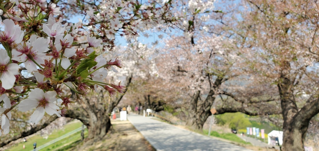 2022年04月10日(日)　初夏の陽気に誘われて&#127800;_b0137083_18484667.jpg