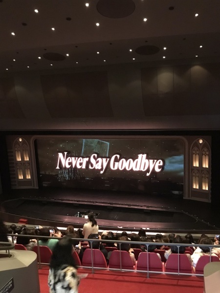 宝塚宙組　NEVER  SAY  GOODBYE_b0417696_20490776.jpeg