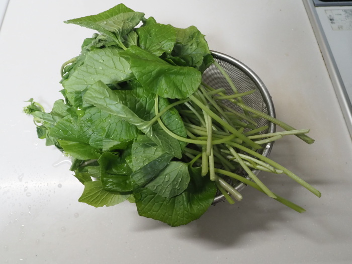 葉わさびの醤油漬け_c0116915_00353534.jpg