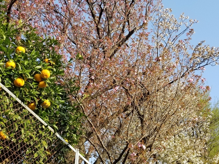 完全犯罪を暴く完全探偵物語 「13・67」_e0016828_10321589.jpg