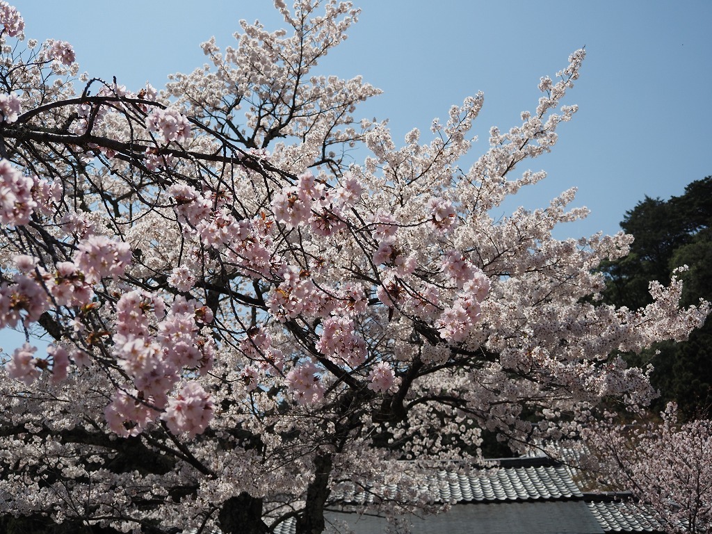 鞍馬寺_e0374932_07023644.jpg