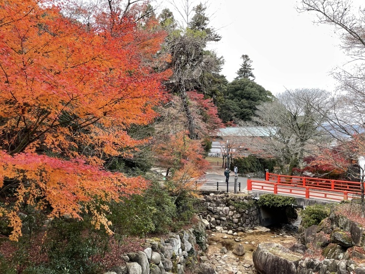 念願の！日本三景『宮島』厳島神社へ。大鳥居は70年ぶりの大改装中_f0023333_22384562.jpg