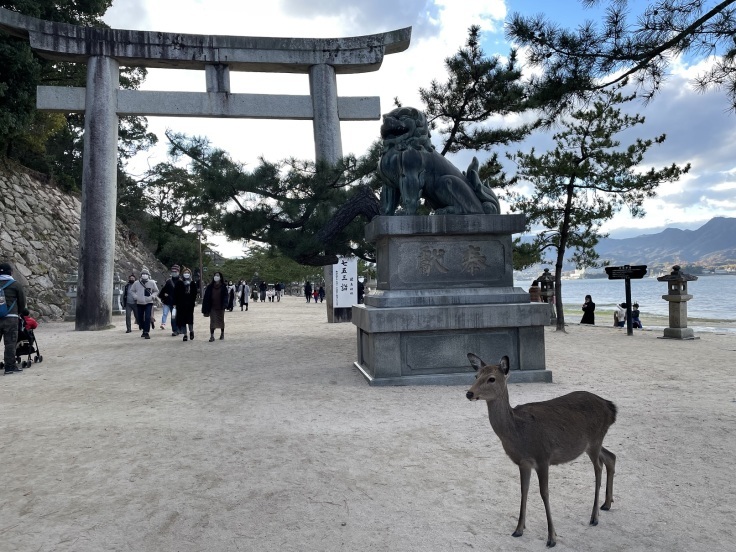 念願の！日本三景『宮島』厳島神社へ。大鳥居は70年ぶりの大改装中_f0023333_22401339.jpg