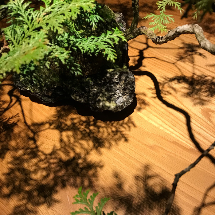 めでる_e0130546_11462720.jpg