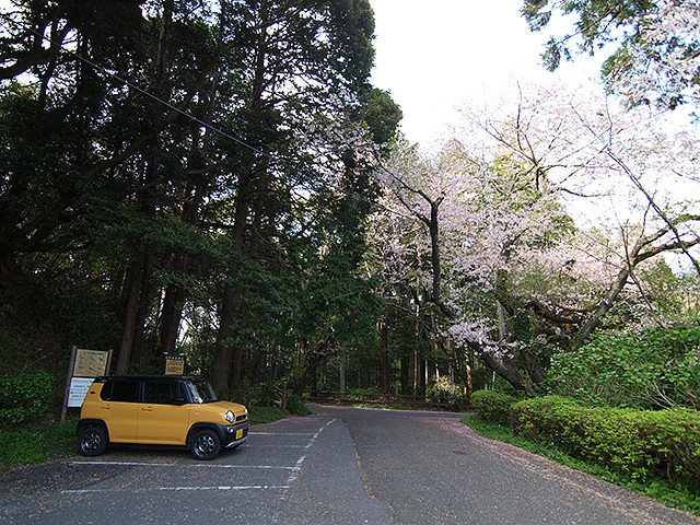 まったりこじんまりな自然と眺望、桜･･･　東金市・山王台公園（2022/4/9）_b0006870_17311256.jpg