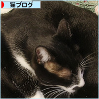 どっちがどっちか、わかんにゃい_a0389088_18105732.jpg