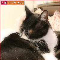どっちがどっちか、わかんにゃい_a0389088_18105761.jpg