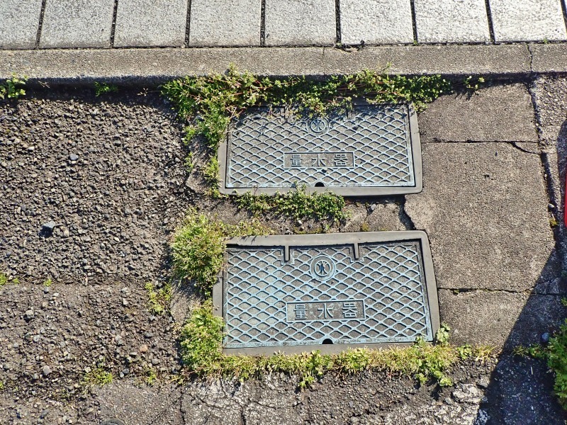 早くも除草剤を散布しました_c0336902_20334078.jpg