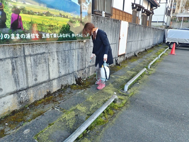 早くも除草剤を散布しました_c0336902_20334555.jpg