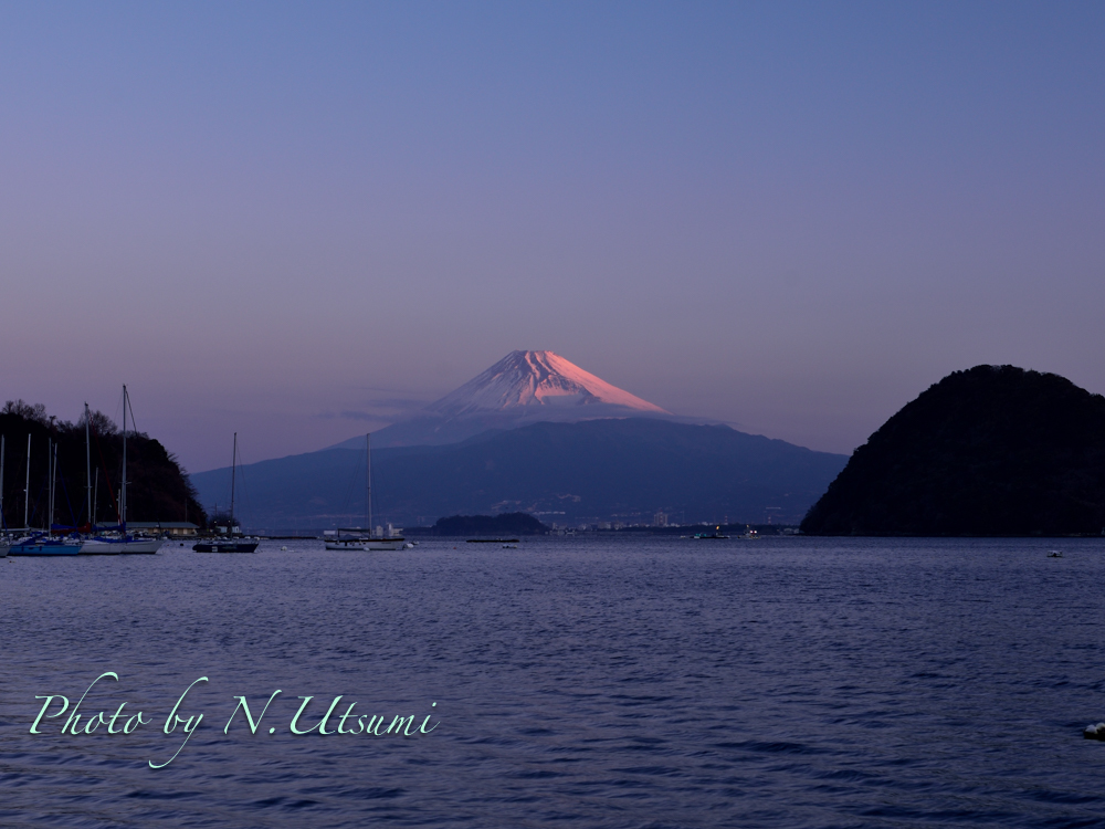 河津桜と富士山ー２月２８日_d0155021_00222597.jpg
