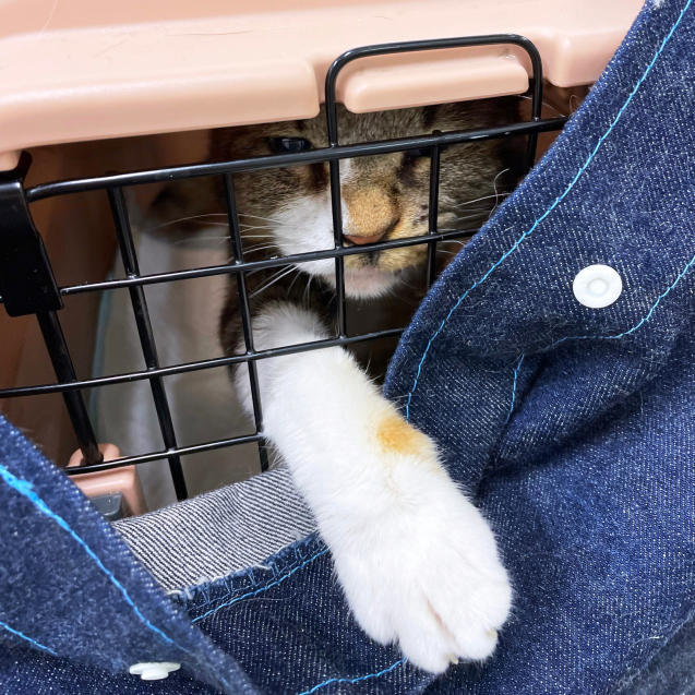 またまた病院へ_d0355333_22041635.jpg