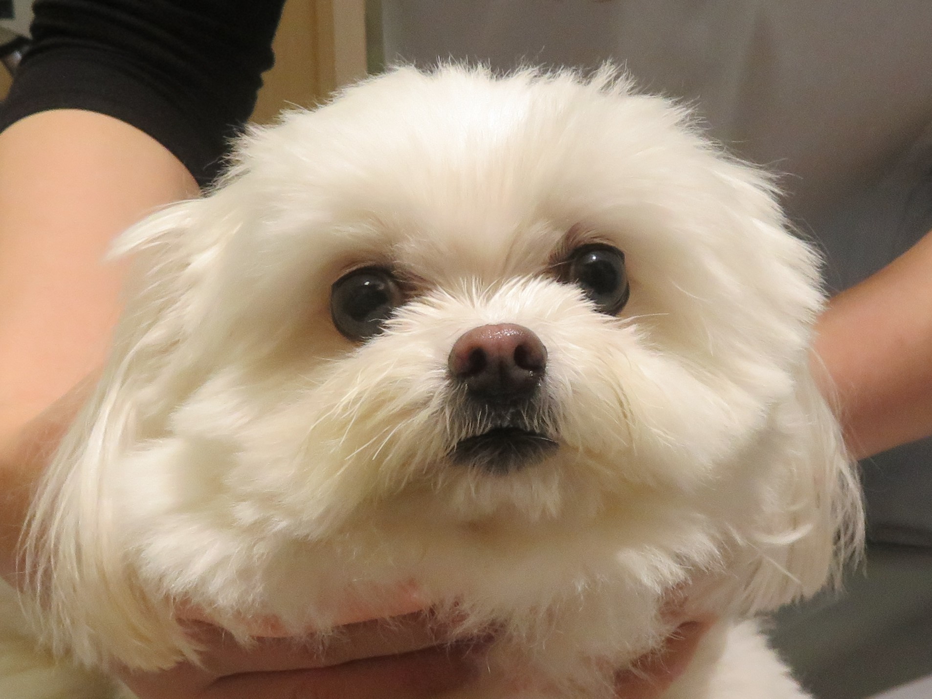 4 月 12 日の写真_c0174644_19482494.jpg