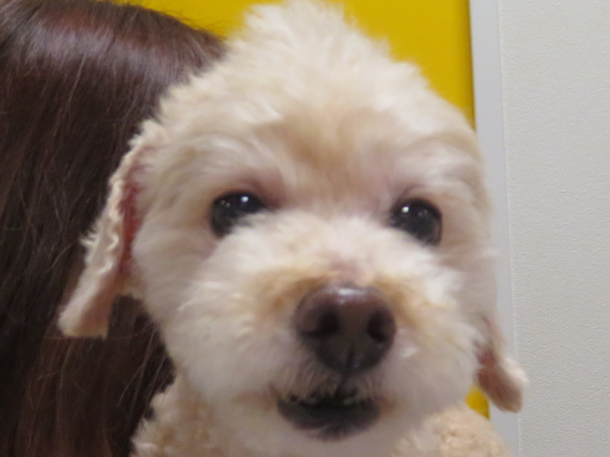 4 月 12 日の写真_c0174644_19482539.jpg