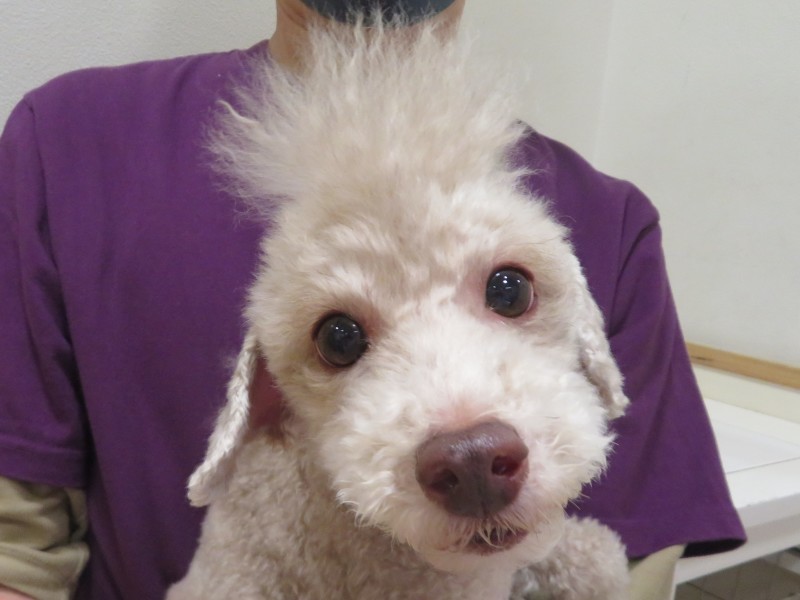 4 月 12 日の写真_c0174644_19482671.jpg