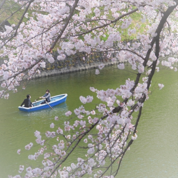 ゆく春 ~千鳥ヶ淵~_a0169902_21194353.jpg