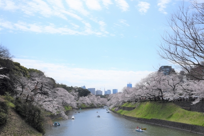 ゆく春 ~千鳥ヶ淵~_a0169902_21194458.jpg