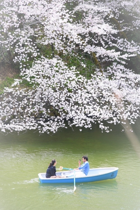 ゆく春 ~千鳥ヶ淵~_a0169902_21243437.jpg