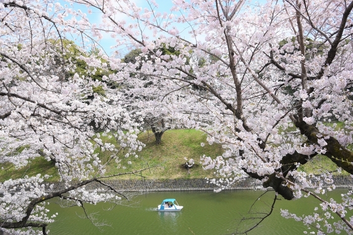 ゆく春 ~千鳥ヶ淵~_a0169902_21243449.jpg