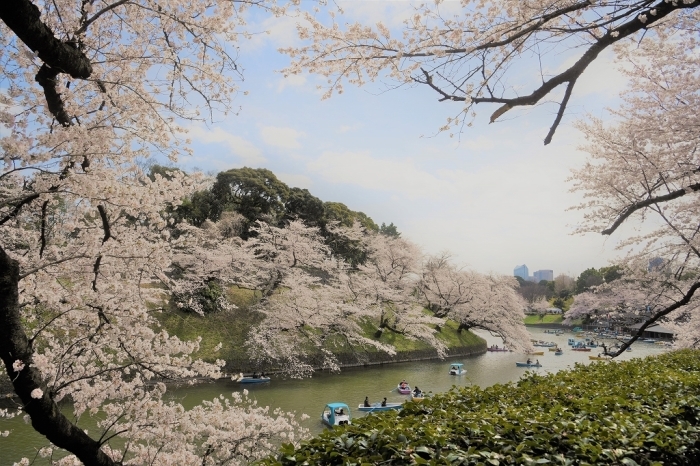 ゆく春 ~千鳥ヶ淵~_a0169902_21243588.jpg