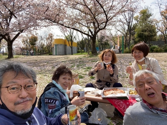 Cherry blossoms _a0098418_22065109.jpg