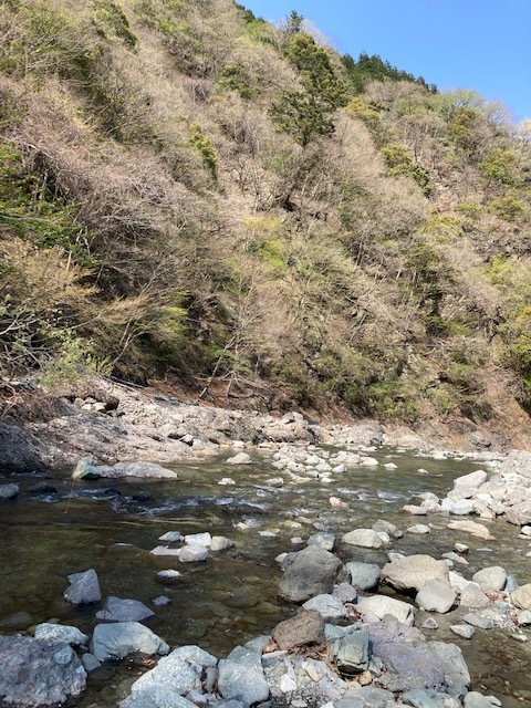 春の釣り_f0079218_10055942.jpg