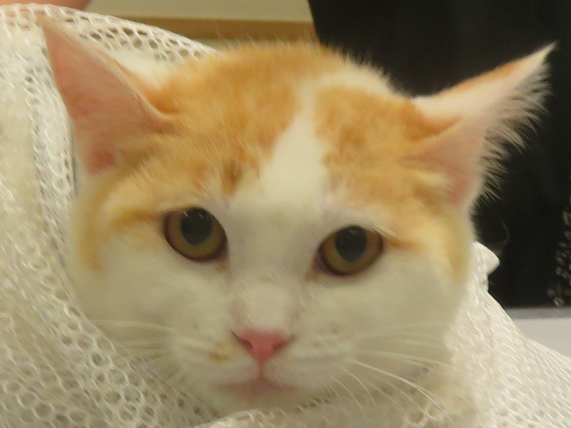 4 月 13 日の写真_c0174644_13463956.jpg