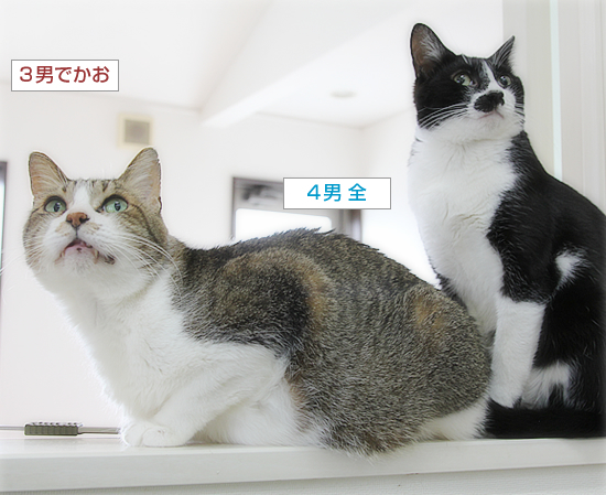 ぎゅうぎゅう_a0389088_15472201.jpg