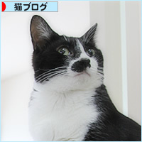 ぎゅうぎゅう_a0389088_15472205.jpg