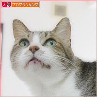 ぎゅうぎゅう_a0389088_15472227.jpg