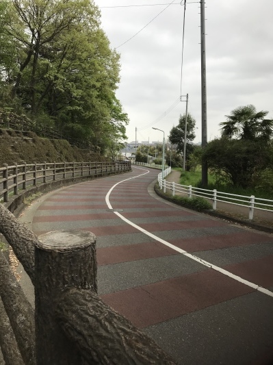 鰹カレーと散歩道_e0181901_23073008.jpeg