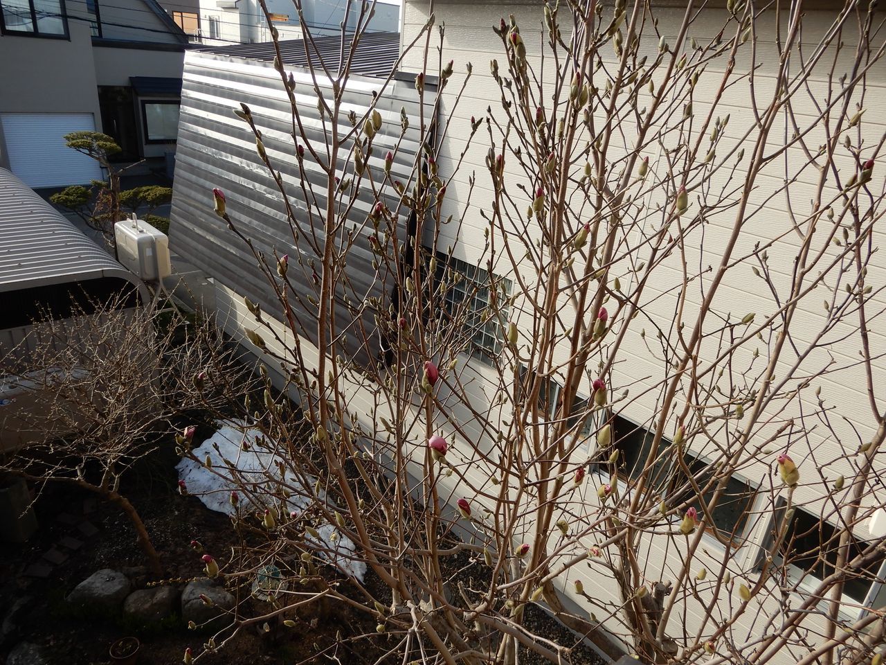日が照ると暖かい_c0025115_22034505.jpg