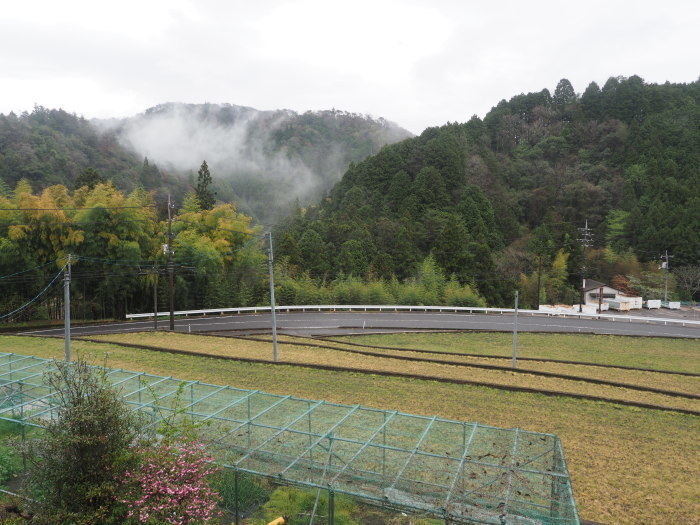 雨の一日_c0116915_23531659.jpg