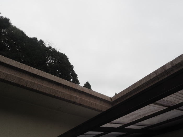 雨の一日_c0116915_23540017.jpg