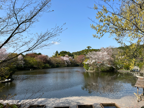 きぬかけの路から龍安寺_b0033428_12583235.jpg