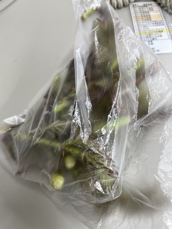 充実した日々_f0076731_19461268.jpg