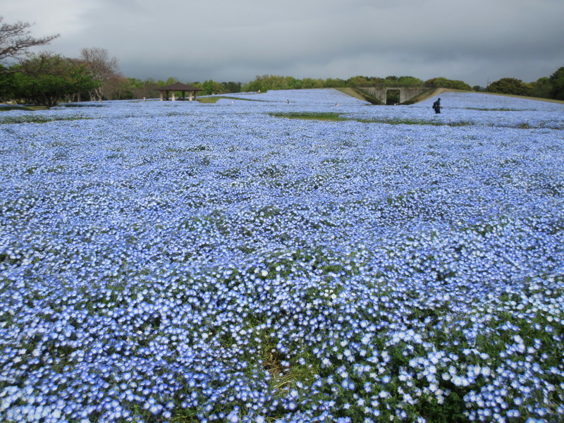 海浜公園_b0014732_06113982.jpg