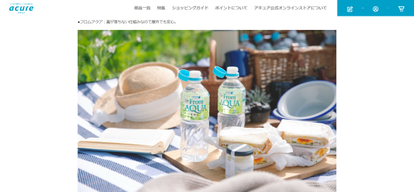 JR東日本様アキュア公式オンラインショップ ピクニック企画プロップスタイリングの仕事_c0337233_12213725.jpg