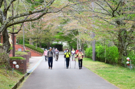 ヒカゲツツジの向山連山と桜の街道を満喫 その② 桜街道班_c0218841_11103457.jpg