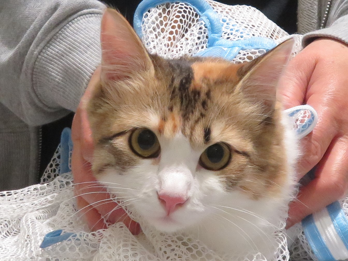 4月 14日の写真_c0174644_12152955.jpg